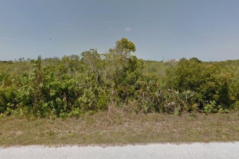 Land in Port Charlotte, Florida № 1283024 - photo 8