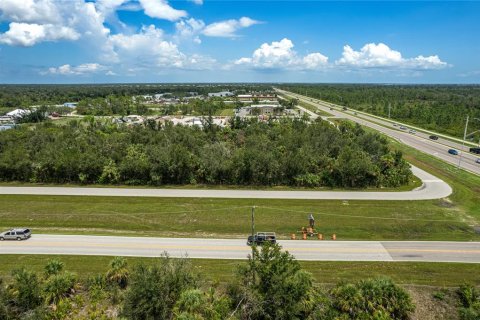 Land in Port Charlotte, Florida № 730967 - photo 17