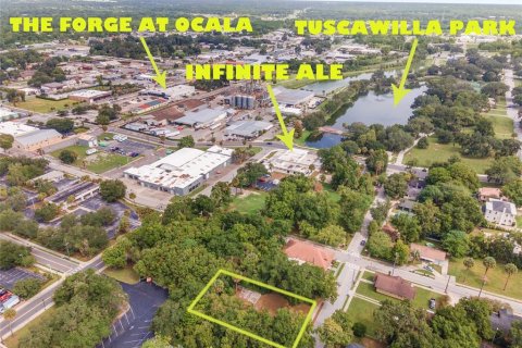 Terreno en venta en Ocala, Florida № 1311462 - foto 6