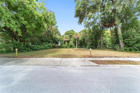 Terreno en venta en Ocala, Florida № 1311462 - foto 2