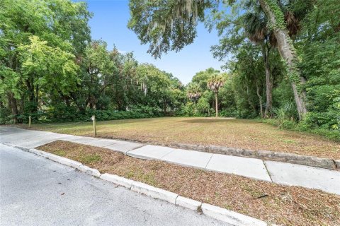 Terreno en venta en Ocala, Florida № 1311462 - foto 3