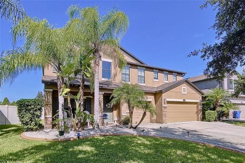 Villa ou maison à vendre à Riverview, Floride: 5 chambres, 307.23 m2 № 1326232 - photo 1