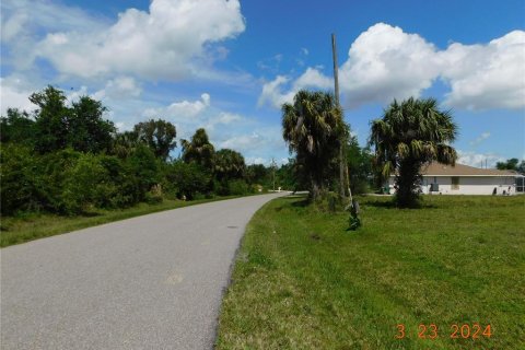 Terrain à vendre à Punta Gorda, Floride № 1109126 - photo 8