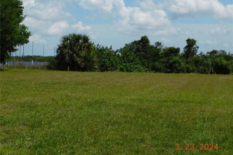 Terrain à vendre à Punta Gorda, Floride № 1109126 - photo 4