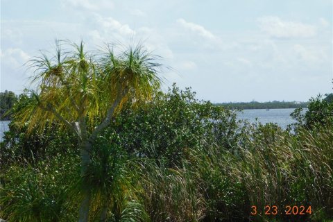 Terrain à vendre à Punta Gorda, Floride № 1109126 - photo 5