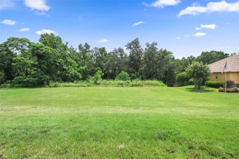 Terreno en venta en Dade City, Florida № 1314348 - foto 7