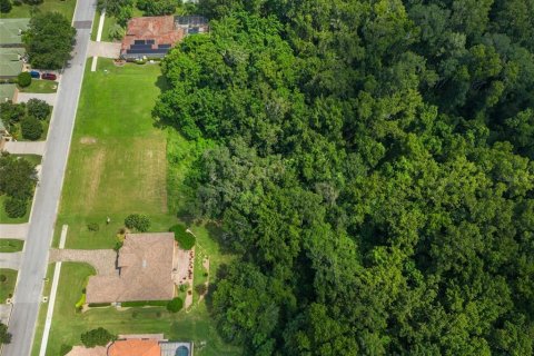 Terreno en venta en Dade City, Florida № 1314348 - foto 15