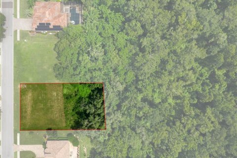 Terreno en venta en Dade City, Florida № 1314348 - foto 16