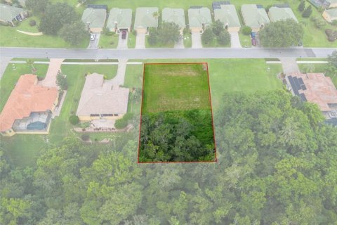 Terreno en venta en Dade City, Florida № 1314348 - foto 9