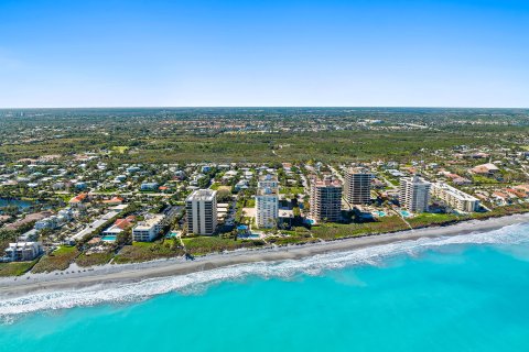 Copropriété à vendre à Juno Beach, Floride: 2 chambres, 163.51 m2 № 1002922 - photo 4