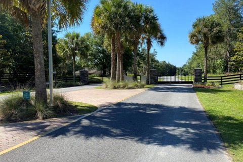 Terreno en venta en Williston, Florida № 1369501 - foto 1