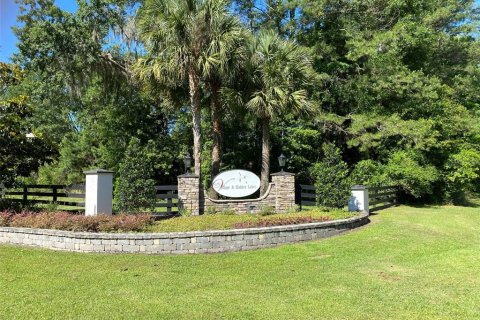 Terreno en venta en Williston, Florida № 1369501 - foto 2