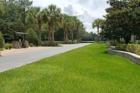 Terreno en venta en Williston, Florida № 1369501 - foto 4