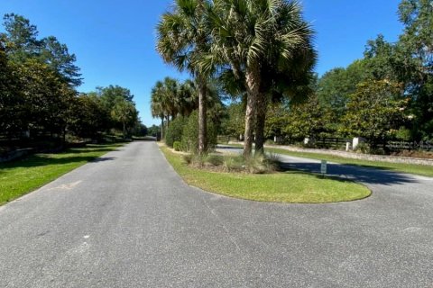 Terreno en venta en Williston, Florida № 1369501 - foto 3