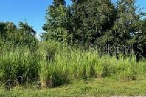 Terreno en venta en Punta Gorda, Florida № 1374808 - foto 1