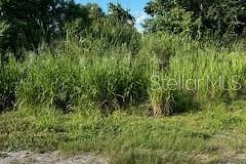 Terreno en venta en Punta Gorda, Florida № 1374808 - foto 2