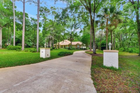 Villa ou maison à vendre à DeLand, Floride: 4 chambres, 360 m2 № 1251721 - photo 2