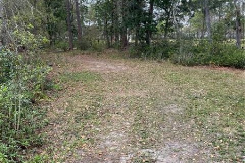 Terrain à vendre à Lutz, Floride № 334954 - photo 10