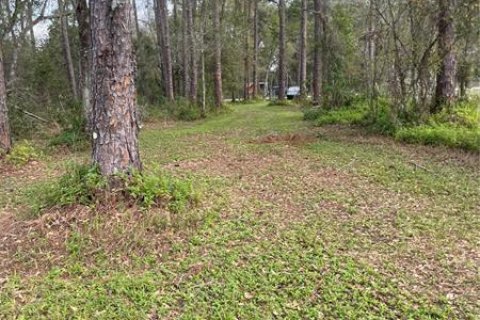 Terrain à vendre à Lutz, Floride № 334954 - photo 4