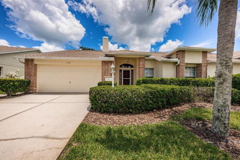 Villa ou maison à vendre à Trinity, Floride: 2 chambres, 161.93 m2 № 1319412 - photo 1