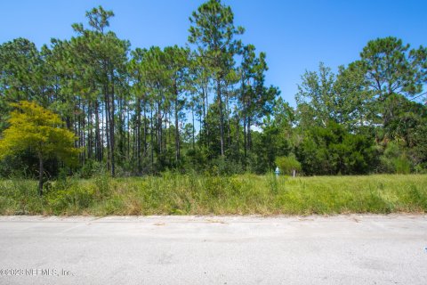 Купить земельный участок в Палм-Кост, Флорида № 771190 - фото 4