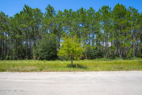 Купить земельный участок в Палм-Кост, Флорида № 771190 - фото 16