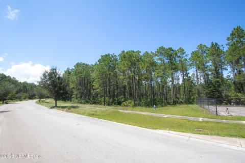 Купить земельный участок в Палм-Кост, Флорида № 771190 - фото 13