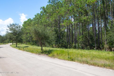 Купить земельный участок в Палм-Кост, Флорида № 771190 - фото 15