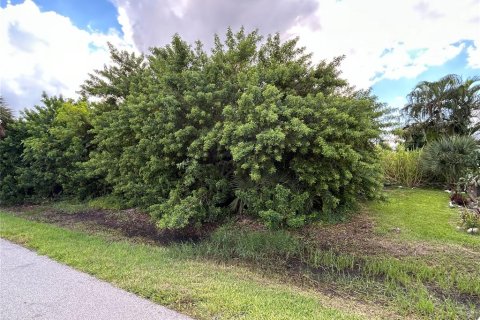 Terreno en venta en Punta Gorda, Florida № 1376540 - foto 1