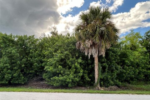 Terreno en venta en Punta Gorda, Florida № 1376541 - foto 3