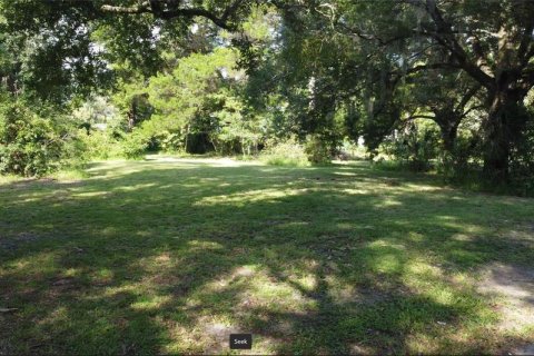 Land in Yankeetown, Florida № 1368148 - photo 3