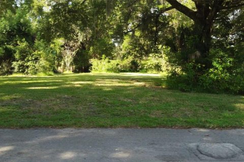 Land in Yankeetown, Florida № 1368148 - photo 1