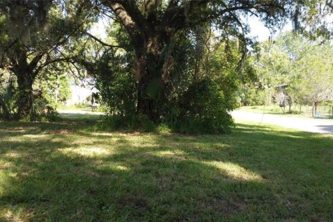 Terreno en venta en Yankeetown, Florida № 1368148 - foto 4