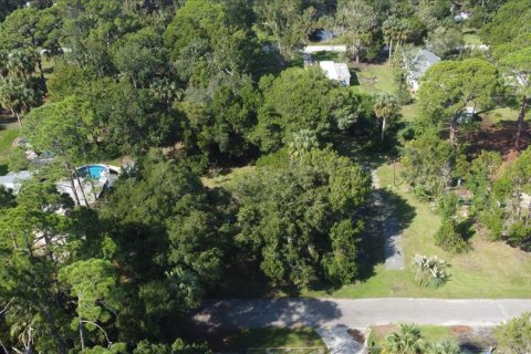 Land in Yankeetown, Florida № 1368148 - photo 2