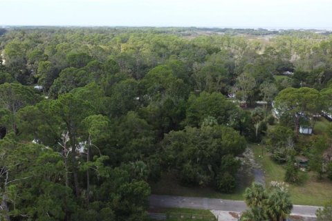 Land in Yankeetown, Florida № 1368148 - photo 6