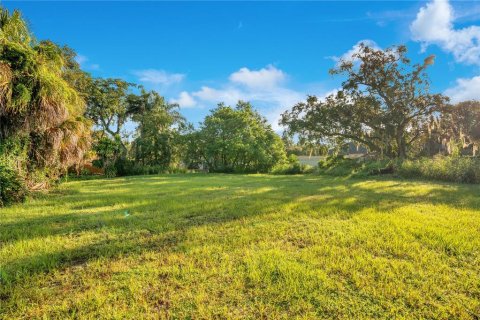 Terreno en venta en Winter Park, Florida № 1363839 - foto 4