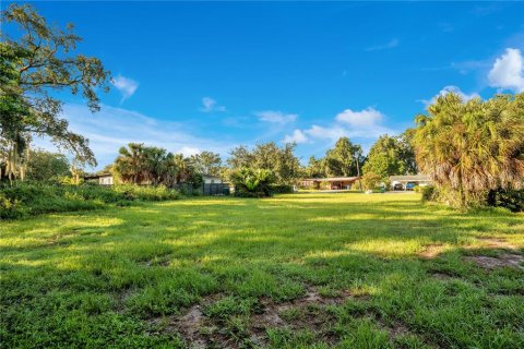 Terreno en venta en Winter Park, Florida № 1363839 - foto 6