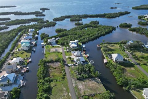 Land in Punta Gorda, Florida № 1410177 - photo 20