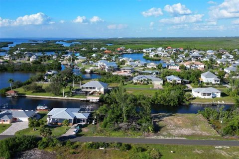 Land in Punta Gorda, Florida № 1410177 - photo 14