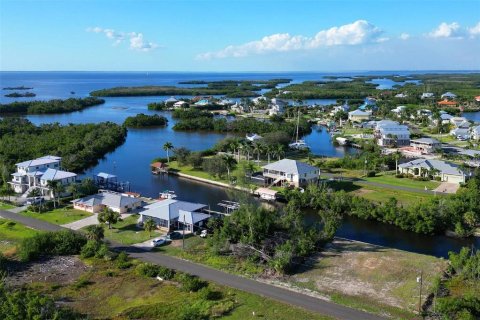 Land in Punta Gorda, Florida № 1410177 - photo 13