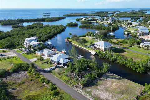 Land in Punta Gorda, Florida № 1410177 - photo 27