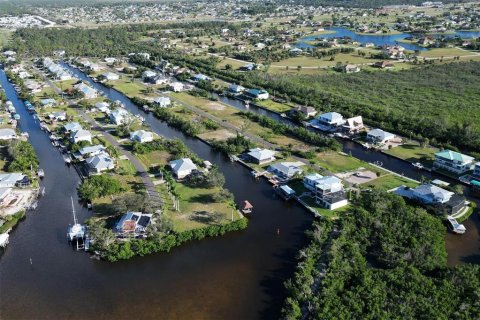 Land in Punta Gorda, Florida № 1410177 - photo 21