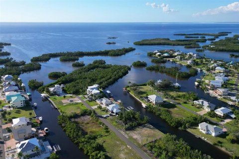 Land in Punta Gorda, Florida № 1410177 - photo 19