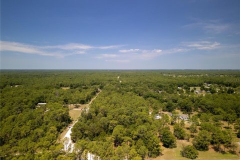 Terreno en venta en Ocala, Florida № 1243935 - foto 9