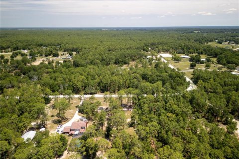 Terreno en venta en Ocala, Florida № 1243935 - foto 15