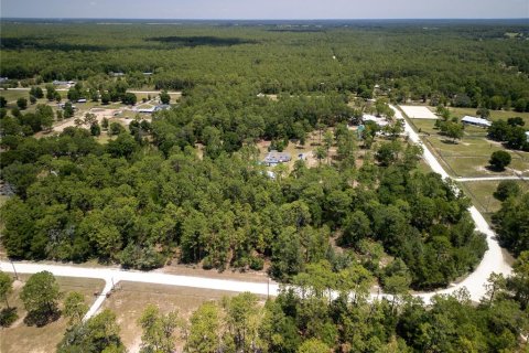 Terrain à vendre à Ocala, Floride № 1243935 - photo 20