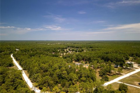 Terrain à vendre à Ocala, Floride № 1243935 - photo 7