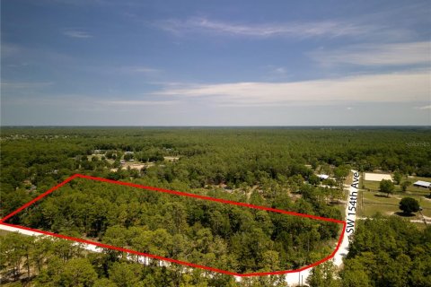 Terreno en venta en Ocala, Florida № 1243935 - foto 4