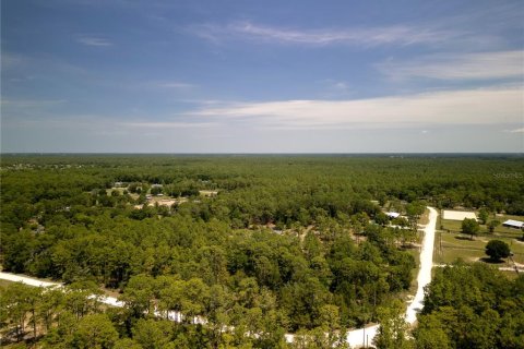 Terrain à vendre à Ocala, Floride № 1243935 - photo 5