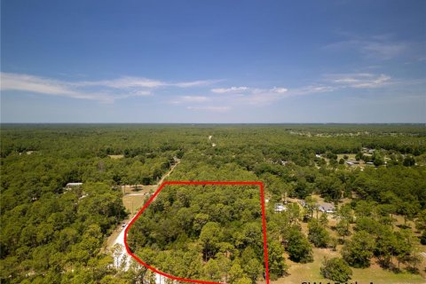 Terreno en venta en Ocala, Florida № 1243935 - foto 8